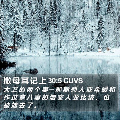 撒 母 耳 记 上 30:5 CUVS Bible Verse Image