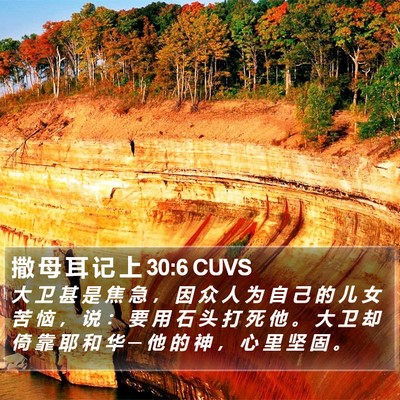 撒 母 耳 记 上 30:6 CUVS Bible Verse Image
