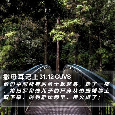 撒 母 耳 记 上 31:12 CUVS Bible Verse Image
