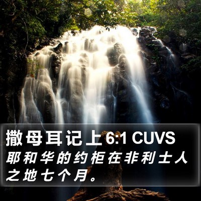 撒 母 耳 记 上 6:1 CUVS Bible Verse Image