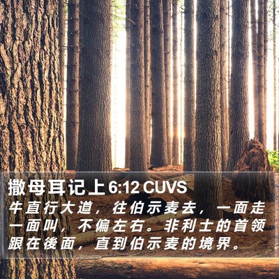 撒 母 耳 记 上 6:12 CUVS Bible Verse Image