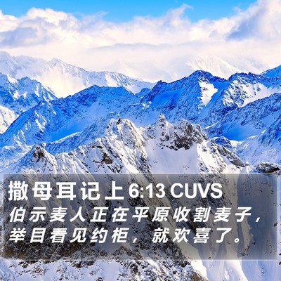 撒 母 耳 记 上 6:13 CUVS Bible Verse Image