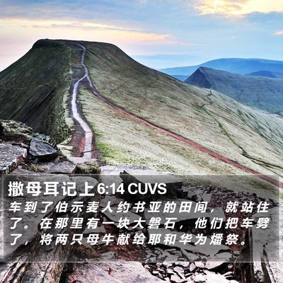 撒 母 耳 记 上 6:14 CUVS Bible Verse Image