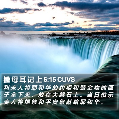 撒 母 耳 记 上 6:15 CUVS Bible Verse Image
