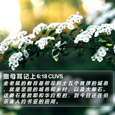撒 母 耳 记 上 6:18 CUVS Bible Verse Image