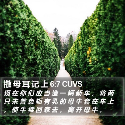 撒 母 耳 记 上 6:7 CUVS Bible Verse Image