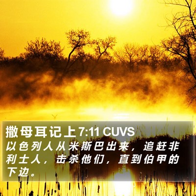 撒 母 耳 记 上 7:11 CUVS Bible Verse Image