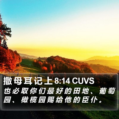撒 母 耳 记 上 8:14 CUVS Bible Verse Image