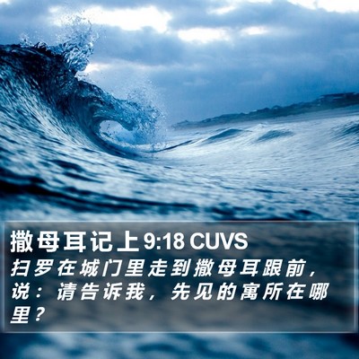 撒 母 耳 记 上 9:18 CUVS Bible Verse Image