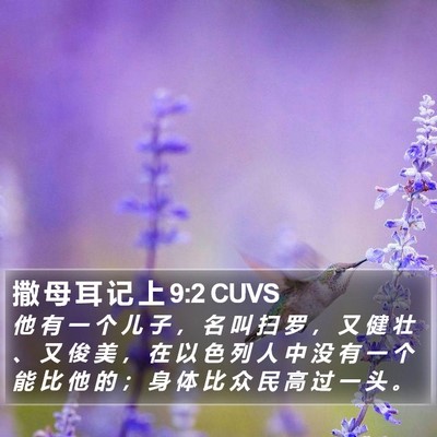 撒 母 耳 记 上 9:2 CUVS Bible Verse Image