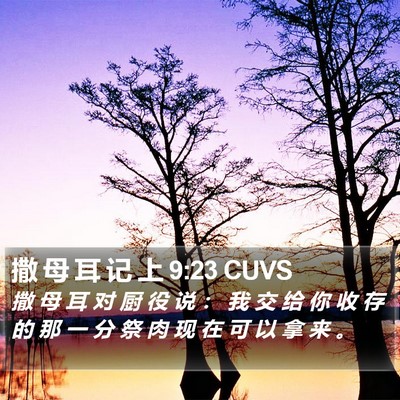 撒 母 耳 记 上 9:23 CUVS Bible Verse Image