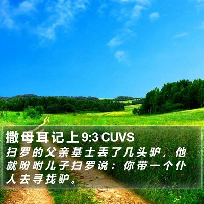 撒 母 耳 记 上 9:3 CUVS Bible Verse Image