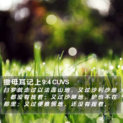 撒 母 耳 记 上 9:4 CUVS Bible Verse Image