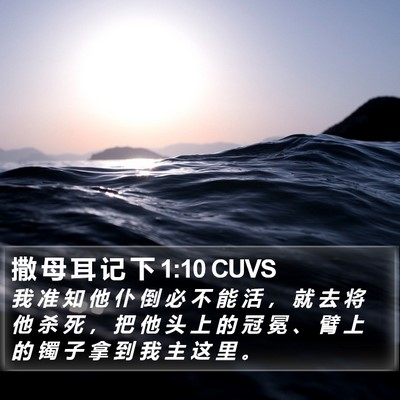 撒 母 耳 记 下 1:10 CUVS Bible Verse Image