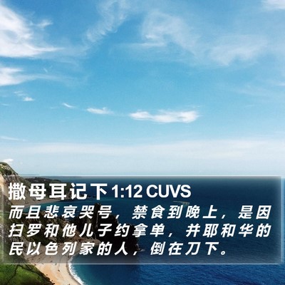撒 母 耳 记 下 1:12 CUVS Bible Verse Image