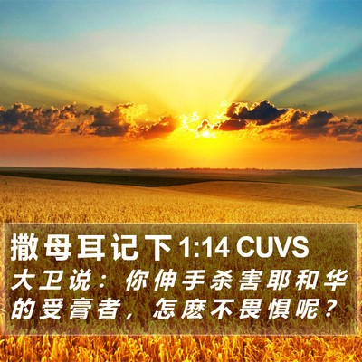 撒 母 耳 记 下 1:14 CUVS Bible Verse Image