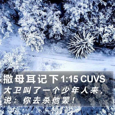 撒 母 耳 记 下 1:15 CUVS Bible Verse Image