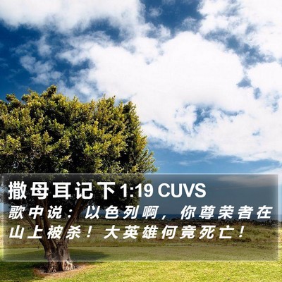 撒 母 耳 记 下 1:19 CUVS Bible Verse Image