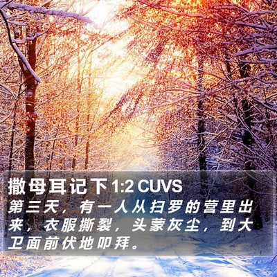 撒 母 耳 记 下 1:2 CUVS Bible Verse Image