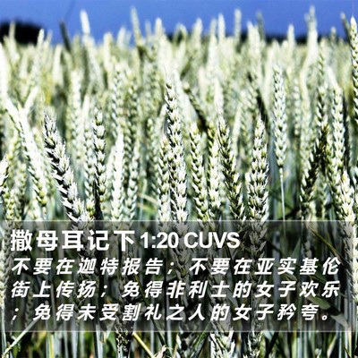 撒 母 耳 记 下 1:20 CUVS Bible Verse Image