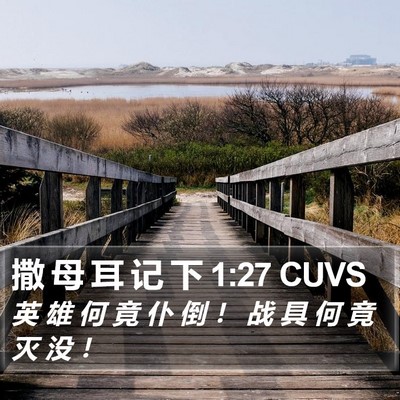 撒 母 耳 记 下 1:27 CUVS Bible Verse Image