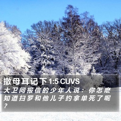 撒 母 耳 记 下 1:5 CUVS Bible Verse Image