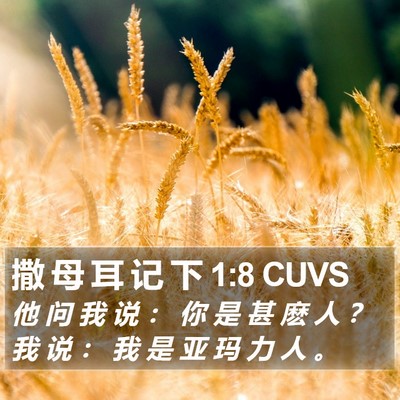 撒 母 耳 记 下 1:8 CUVS Bible Verse Image