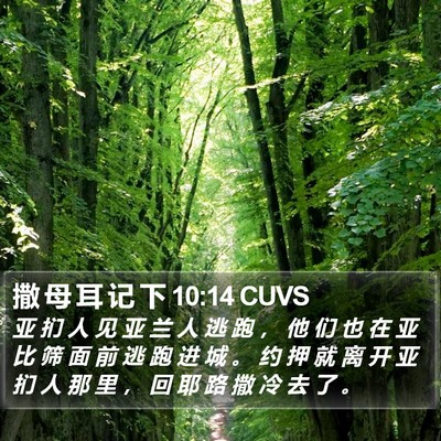 撒 母 耳 记 下 10:14 CUVS Bible Verse Image