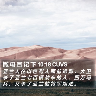 撒 母 耳 记 下 10:18 CUVS Bible Verse Image