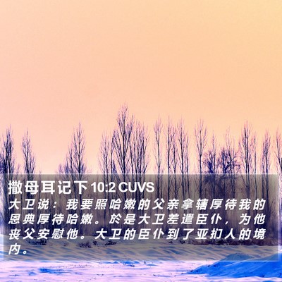 撒 母 耳 记 下 10:2 CUVS Bible Verse Image