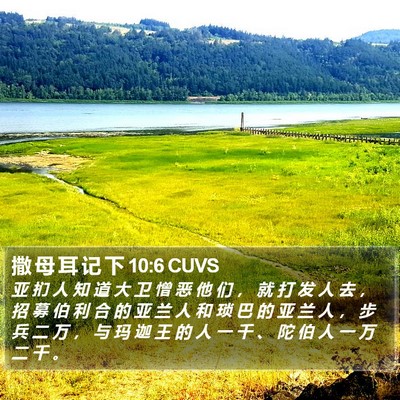 撒 母 耳 记 下 10:6 CUVS Bible Verse Image