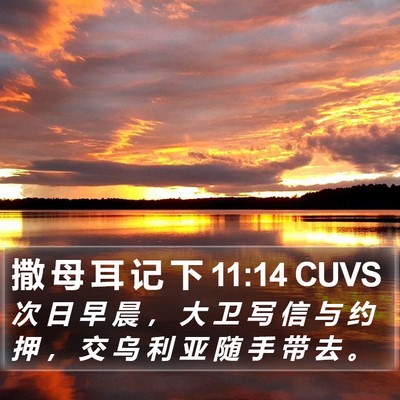 撒 母 耳 记 下 11:14 CUVS Bible Verse Image
