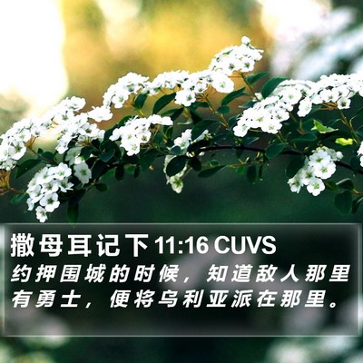 撒 母 耳 记 下 11:16 CUVS Bible Verse Image
