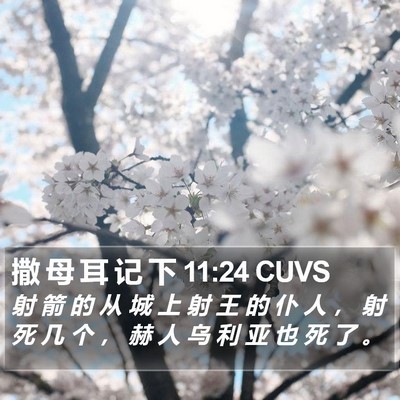 撒 母 耳 记 下 11:24 CUVS Bible Verse Image