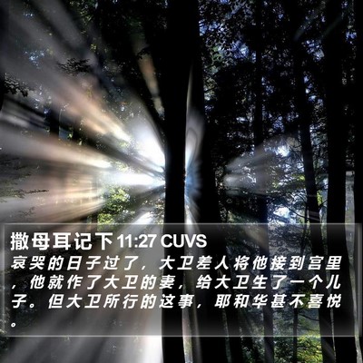 撒 母 耳 记 下 11:27 CUVS Bible Verse Image