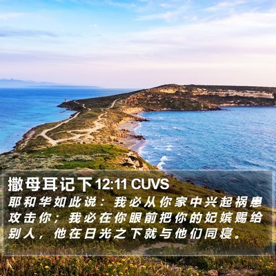 撒 母 耳 记 下 12:11 CUVS Bible Verse Image