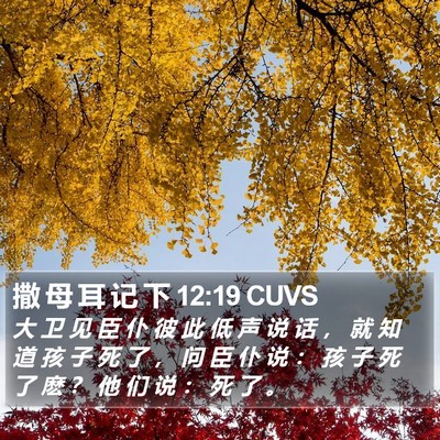 撒 母 耳 记 下 12:19 CUVS Bible Verse Image