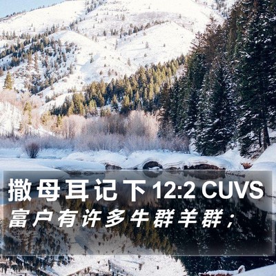 撒 母 耳 记 下 12:2 CUVS Bible Verse Image