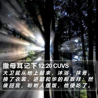 撒 母 耳 记 下 12:20 CUVS Bible Verse Image
