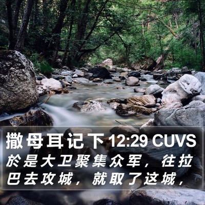 撒 母 耳 记 下 12:29 CUVS Bible Verse Image