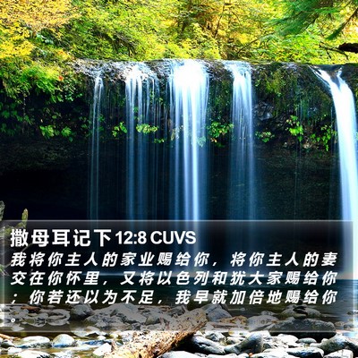 撒 母 耳 记 下 12:8 CUVS Bible Verse Image