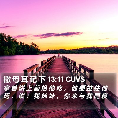 撒 母 耳 记 下 13:11 CUVS Bible Verse Image