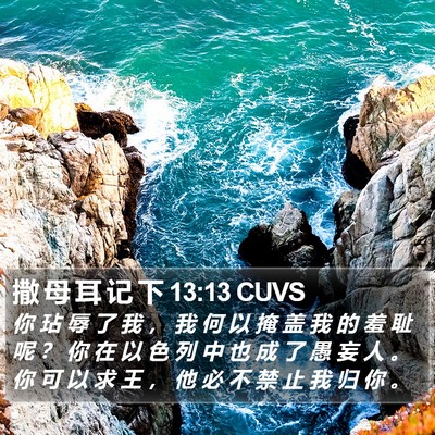 撒 母 耳 记 下 13:13 CUVS Bible Verse Image