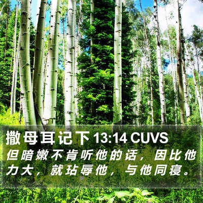 撒 母 耳 记 下 13:14 CUVS Bible Verse Image