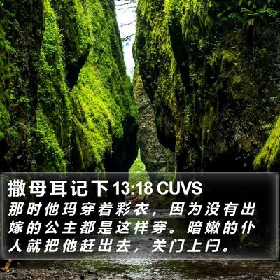 撒 母 耳 记 下 13:18 CUVS Bible Verse Image