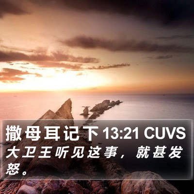 撒 母 耳 记 下 13:21 CUVS Bible Verse Image