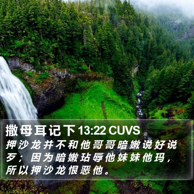 撒 母 耳 记 下 13:22 CUVS Bible Verse Image