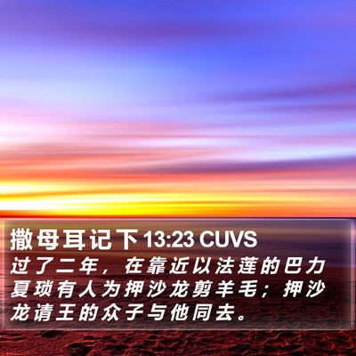 撒 母 耳 记 下 13:23 CUVS Bible Verse Image