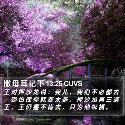 撒 母 耳 记 下 13:25 CUVS Bible Verse Image