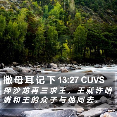 撒 母 耳 记 下 13:27 CUVS Bible Verse Image